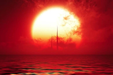 EMPIRE OF THE SUN WALLPAPER   (