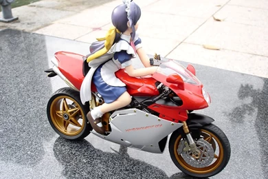 Wallpapers Pune Bike Stunt 1024x768