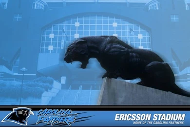 Carolina Panthers Wallpapers