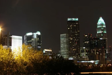 Wallpapers Charlotte Nc 2015   Grasscloth Wallpapers