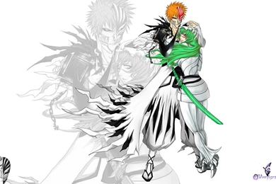 Wallpapers Ichigo And Neliel 1920x1080