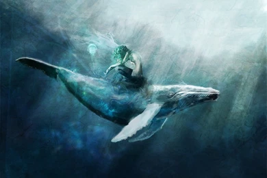 The Whale Song Wallpapers From Dark Wallpapers