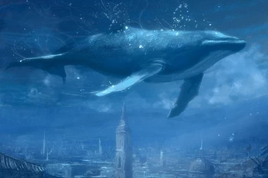 Blue Whale Wallpapers   Wallpapers Cave