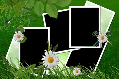 Photo Frames New Green Backgrounds