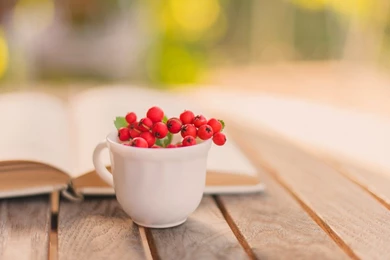WALLPAPER HD Book Wooden Table Cup Mug Berry Red Autumn Hd