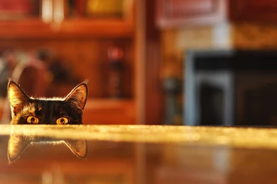 Metal Table Top Backgrounds With Table Top Backgrounds Wallpapers ...