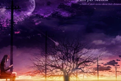 5 Cm Per Second   Byousoku 5 Centimetre Wallpapers ...