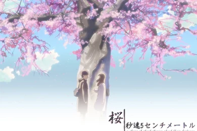 5 Centimeters Per Second