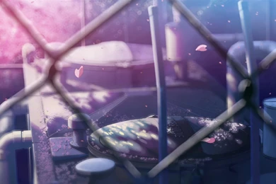 NoobSubs] 5 Centimeters Per Second (1080p Blu ray Eng Dub 8bit AC3 ...