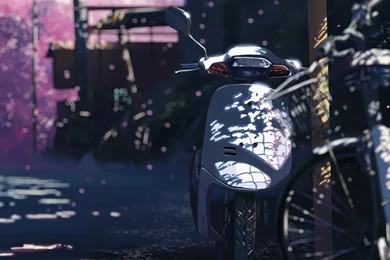 5 Centimeters Per Second Wallpapers » WallDevil Best Free HD ...