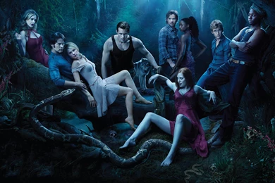 Wallpapers Wolf The People Vampires Night Snake Films 2560x1600 ...