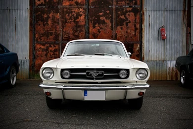 White Ford Mustang Classic Desktop Wallpapers
