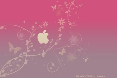 Apple Pink Wallpapers Iphone 1480   HD Wallpapers Site