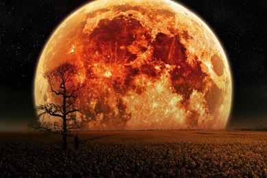 Planet Fall Wallpaper Backgrounds