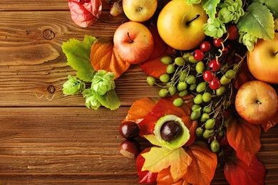 Fall_Background_with_Fruits_and_Leaves.jpg?m=1441226085