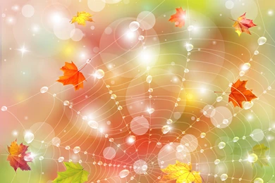 Fall_Background_with_Leaves_and_Web.jpg?m=1411219920