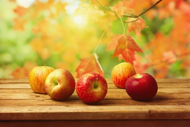 Fall_Background_with_Apples.jpg?m=1399676400