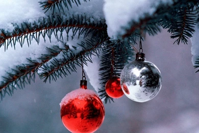 Download Xmas Balls Widescreen Wallpaper—Free Wallpapers