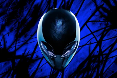 Alienware Wallpapers Black, Wallpaper, Alienware Wallpapers Black Hd ...