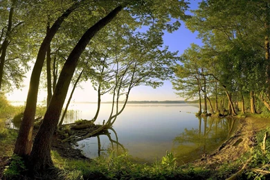 Beautiful Nature Wallpapers For Desktop Backgrounds