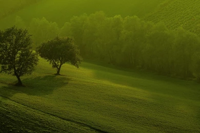 3d nature wallpaper for windows 8 hd pictures