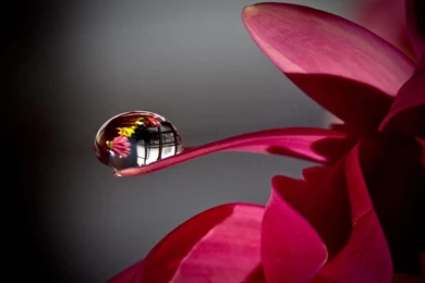 Crystal Clear Water Drops Wallpapers 1680x1050 Widescreen Hd ...