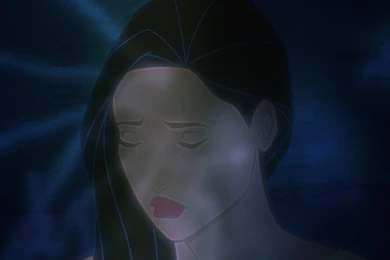 Pocahontas Wallpapers   Disney Princess Wallpapers (38570637)   Fanpop