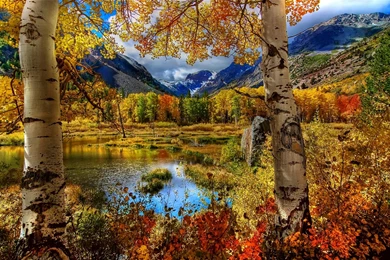 Autumn Mountain Wallpapers
