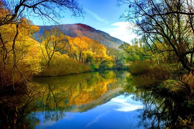 Autumn Mountain River   (