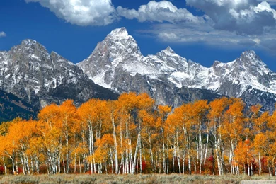 Download Autumn Mountain Landscape 8 Wallpapers 1920x1080 ...