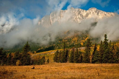 Download Desktop Wallpapers Autumn Mountain Forest Fog