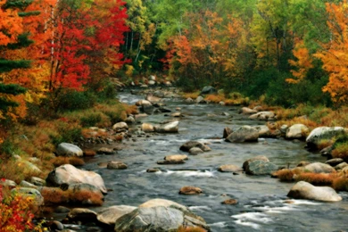 Autumn_Colors_White_Mountains_New_Hampshire.jpg