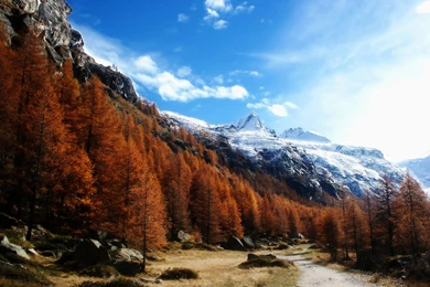 Autumn Mountain Wallpapers