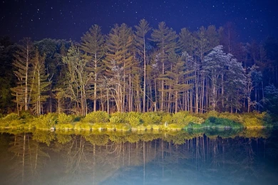 Download Android L Wallpapers For Your Device   How To