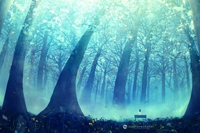 Beautiful Wallpapers For Desktop, IPhone, iPad And Android ...