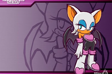 Rouge Battle Wallpapers   ROUGE THE BAT Wallpapers (14351104)   Fanpop