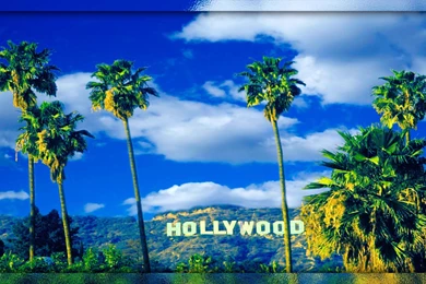 HOLLYWOOD MOUNTAIN WALLPAPER