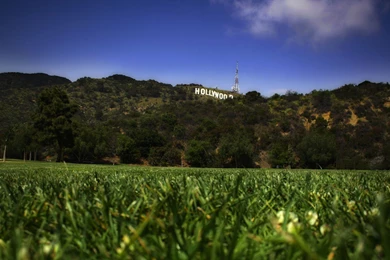 Hollywood Sign Viewed From A Field   1920x1080   Full HD 16/9 ...