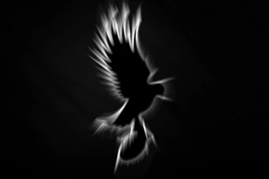 Top Hollywood Undead Spray Wallpapers