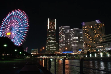 Hollywood Night Image N Wallpapers On MobDecor