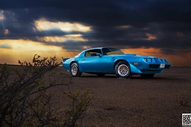 79 Pontiac Firebird Trans Am   Crankandpiston.com