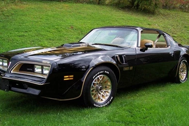 Pontiac Firebird Trans Am 1977 79   (