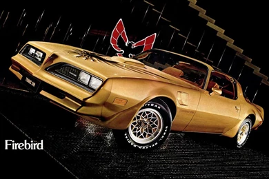 Pontiac Firebird Trans Am 1977 79   (