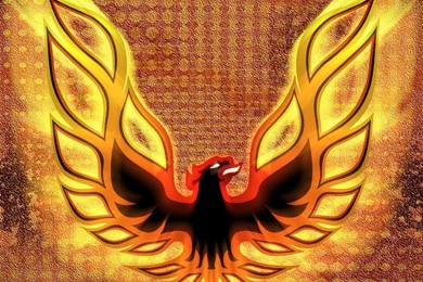 Pontiac Firebird Trans Am WP By GVAR Photography On DeviantArt