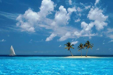 Free Tropical Beach Sun Sand And Sea Holiday Photographic ...