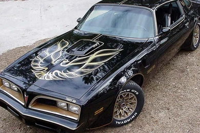 Pontiac Firebird Trans Am 1977 79   (