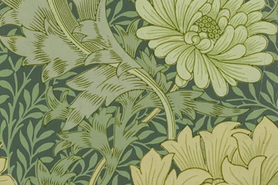 Friday Gem From The Stoddard – Templeton Design Archive: Sanderson ...