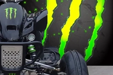 I Want A Four Wheeler Like That