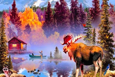 Largest Moose HD Wallpapers