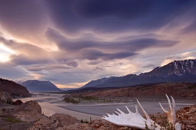Moose Antler Alsek River Yukon Canada HD Desktop Wallpapers ...